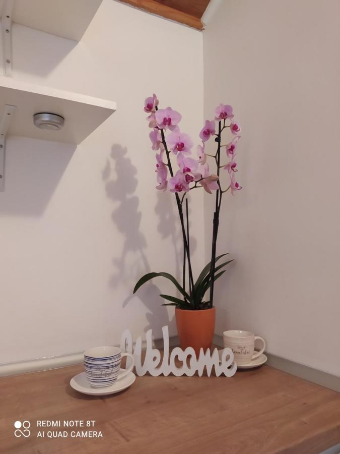 Apartments Ante Трибунь Екстер'єр фото